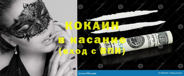 гашик Тайга