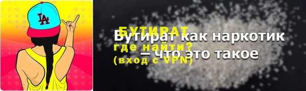 гашик Тайга
