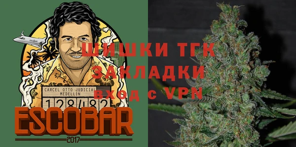 твердый Гусь-Хрустальный